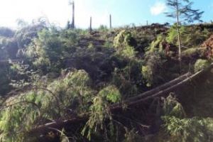 În judeţul Cluj încă sunt zone fără energie electrică. Electrica riscă o amendă uriaşă