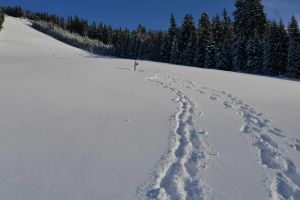 Risc maxim de avalanşă în Retezat
