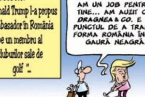 Părerea lui Terente