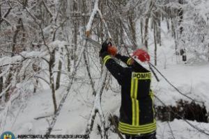 Intervenţie la Şugaş-Băi pentru degajarea unor arbori căzuţi pe linia de electricitate