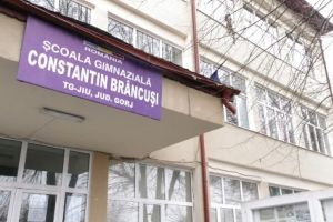 Aproximativ 200 de elevi gorjeni vor concura, în weekend, la Olimpiada de Lingvistică “Solomon Marcus”