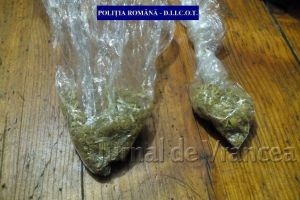 PERCHEZIȚII la traficanţi şi consumatori de droguri din Focşani