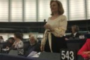Maria Grapini, fără perdea la Strasbourg: „Este absurd ca un executiv neales al Uniunii Europene să decidă unde se duc banii!“