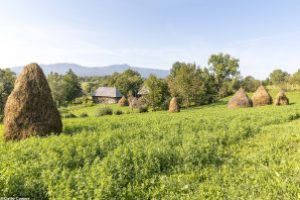 Cum este vazut Maramuresul in presa britanica: „O regiune frumoasa de paduri si dealuri pastrata intact”