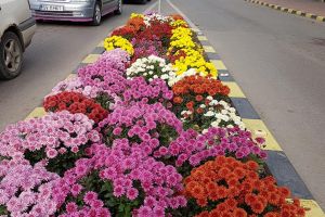 Seră floricolă modernă, contractată de Primăria Suceava, pentru a avea un „oraş al ...
