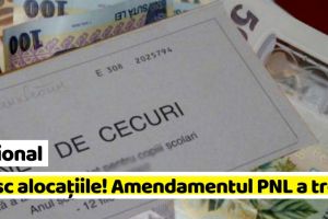 Naţional: Cresc alocaţiile! Amendamentul PNL a trecut