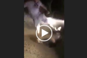 VIDEO îngrozitor: Tânără bătută crunt de doi bărbaţi