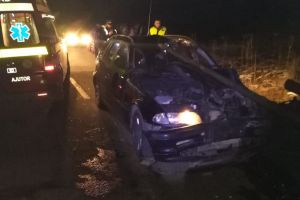 O maşină a lovit o căruţă la Monor. Calul a murit (FOTO)