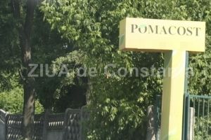 Pastila amara in instanta pentru SC Pomacost SA! 