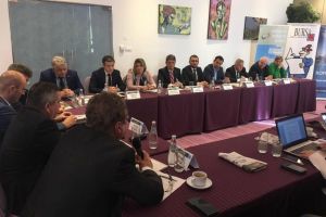 Boza: Taxele îngenunchează CE Oltenia