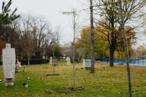 Vine PRIMĂVARA! Cum va fi VREMEA în weekend la Arad