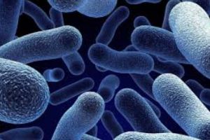 Bacterie ucigaşă în secţia de terapie intensivă a unui spital din Bucureşti. Două persoane au murit
