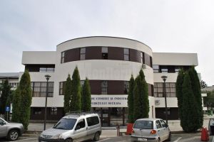 Curs de management al riscului, la CCI Suceava