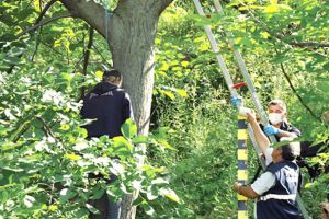 ACUM – Persoană găsită SPÂNZURATĂ in Trivale