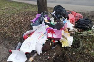 FOTO. Morman de deşeuri aruncat direct pe spaţiul verde. Poliţia Locală a intervenit