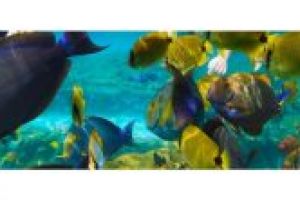 Super Oferta Egipt-Hurghada- de la 377 euro/persoana-avion Cluj