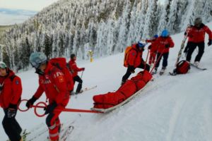 Raportul de activitate al SALVAMONT ROMÂNIA pentru luna ianuarie a anului 2019