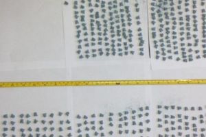 CETĂȚEAN TURC, a încercat sa PĂCĂLEASCĂ ÎNCHISOAREA