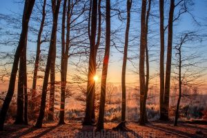 METEO: Weekend cu vreme frumoasă. Ce temperaturi se vor înregistra