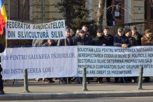 Silvicultorii se opun unei noi propuneri de împroprietărire cu păduri