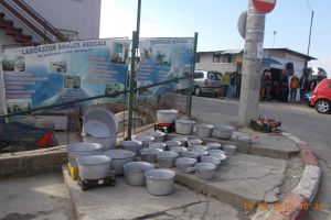FOTO: Noi verificări ale Poliţiei Locale Târgu Jiu