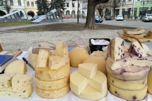 Caşcavalul a înflorit, semn că vine primăvara (FOTO)