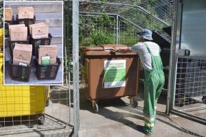 Examen promovat: Programul pilot de colectare selectivă în trei fracţii din Oradea a fost o reuşită