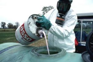 PERICOL URIAŞ de îmbolnăvire de CANCER. AVERTIZARE a Organizaţiei Mondiale a Sănătăţii