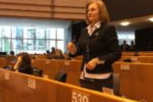 Europarlamentarul Maria Grapini cere să se adopte mai rapid normativele pentru Uniunea Vamală în Europa