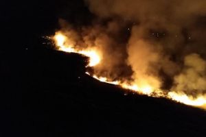 Incendiu de amploare in judetul Prahova. Pompierii, chemati in ajutor. In sprijinul salvatorilor intervin si cetatenii (galerie foto)