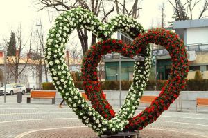 Pe măsură ce sezonul rece se apropie de final, Râmnicul redevine oraşul florilor