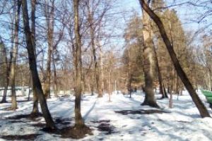 Afla prognoza meteo pentru zilele de duminica si luni, in Maramures