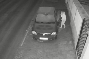 VIDEO – Hoaţă în acţiune – A dat lovitura într-o casă, după ce a ’’verificat’’ şi o maşină