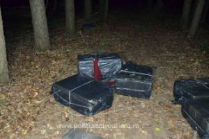 Maramures: Noi baxuri cu tigari de contrabanda descoperite in zona de frontiera