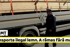 NEAMȚ: Transporta ilegal lemn. A rămas şi fără maşină