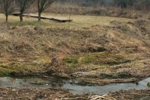 Răspunsul primarului de la Oarja la circul din presa naţională