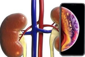 Infecţiile urinare frecvente pot ascunde simptomele cancerului renal sau de vezică urinară
