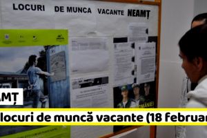 NEAMȚ: AJOFM: 789 locuri de muncă vacante la data de 18 februarie