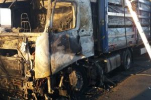 Autotren distrus de incendiu pe A1!
