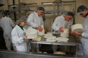 DÂMBOVIȚA: Se reduce numărul de clase de teoretic, în favoarea învăţământului profesional