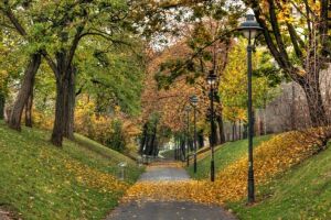 Iluminatul din parcul Cetăţii, reabilitat şi modernizat de primărie