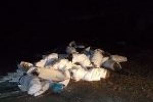 Aruncarea deseurilor la intamplare l-a costat enorm pe un brailean