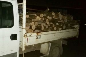 Transport ilegal de lemne, depistat la Lipova