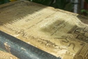 Creative writing la Universitatea din Bucureşti. Invitat-surpriză din rândul scriitoarelor