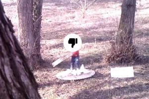 Monumentul dedicat Annei Marossy, vandalizat de nişte copii (VIDEO)