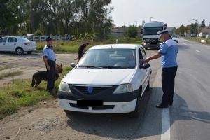 Șoferi în stare de ebrietate prinşi de poliţişti. Unul dintre ei avea o alcoolemie de aproape 1,7 la mie!