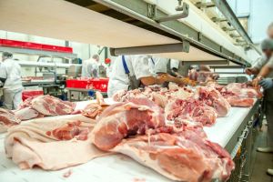 Carnea de porc cu risc de pestă din Ungaria, pe rafturile unor magazine din Bucureşti. Marfa a fost confiscată