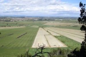 Daea: Teledetecţia se termină în câteva zile; cei cu probleme nu vor primi banii deocamdată, pentru că sunt unele erori