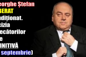 Gheorghe Ștefan, eliberat condiţionat. Decizia judecătorilor este DEFINITIVĂ (20 septembrie)