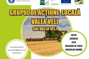 Apel de selecţie: GAL Valea Velj anunţă lansarea sesiunii de cerere de proiecte LEADER